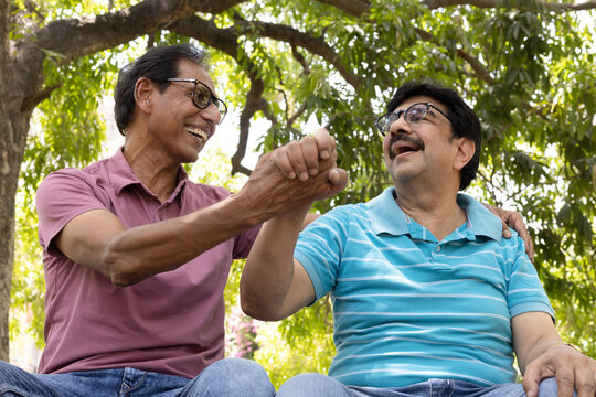 Two happy Indian senior male friends enjoying a joyful handshake while sitting together in a green park, laughing and celebrating their friendship. Concept of companionship, trust, active aging.