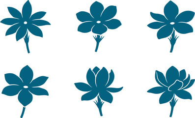 Fototapeta premium Elegant pack of jasmine and star flower silhouettes with delicate petals