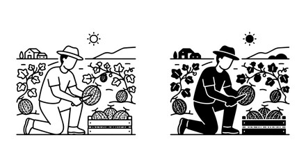 Fototapeta premium Farmer Harvesting Watermelons, Organic Farm Scene, Summer Harvest Vector Illustration