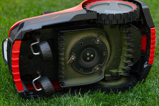Autonomous Robotic Lawn Mower on Green Grass in a Modern Garden