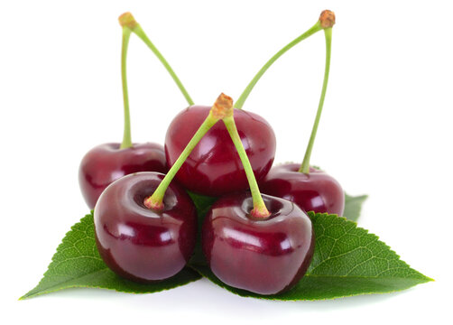 Ripe Red Cherries with Green Leaves