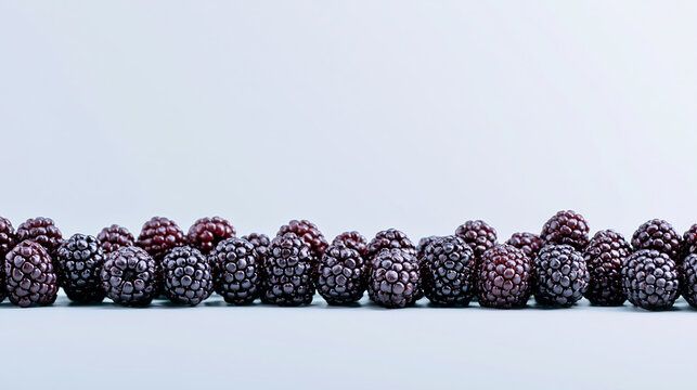 Fresh ripe blackberries arranged in a neat row creating a beautiful natural border on a clean light background, perfect for healthy food concepts and summer berry designs.