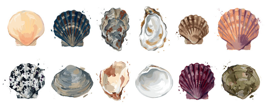 Seashells and mollusk icons set. Marine life and ocean concept. Includes scallop shell, oyster shell, clam shell, mussel shell, conch shell, nautilus shell. Watercolor paint style
