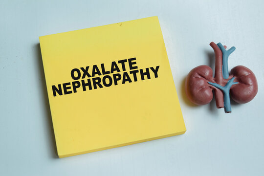 Concept of oxalate nephropathy write on sticky notes isolated on Wooden Table.