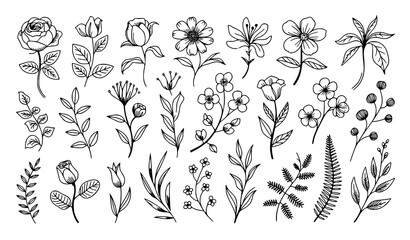 Fototapeta premium Hand drawn botanical flowers and foliage collection with diverse floral stems and leaves