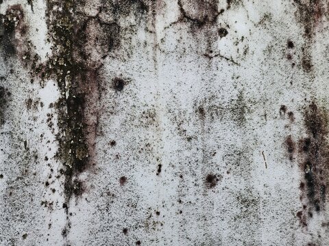 Aged Concrete Wall With Mold Stains and Weathered Texture Background for Grunge Design