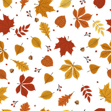 Fall leaves and berries seamless for holiday graphics