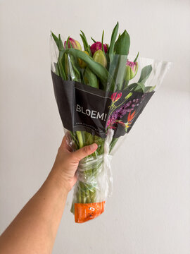Сlorful dutch holland Tulips fresh bouquet from Bloem florist shop, bought at Schiphol airport as a travel souvenir to take on the airplane: 24.05.2026 - Amsterdam, Netherlands