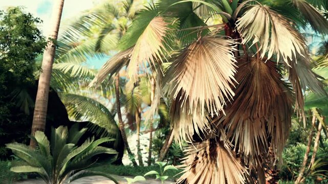 Palm trees and tropical plants grow in a sunny outdoor area. The leaves of the palm trees are spread wide. This setting shows a lush green environment with various plant types.