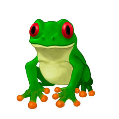 Fototapeta premium Frog Red Eyes