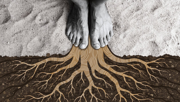 Bare feet growing roots into soil conceptual art