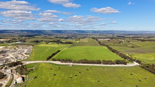 McLaren Vale, South Australia &ndash; 4K aerial drone view of vineyards, farmland, rural landscape and tree-lined country road, Long Gully Rd