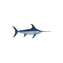 Fototapeta premium Swordfish Illustration