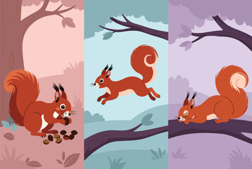 Fototapeta premium Three different scenes of a cute red squirrel eating nuts, jumping through the air, and sleeping on a tree branch in a forest.