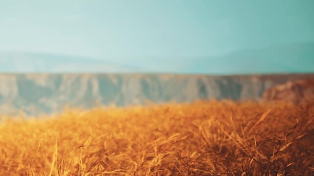 A wheat field stretches across the land, showing golden grains swaying gently. In the background, mountains rise against a blue sky. The scene captures the beauty of the countryside.