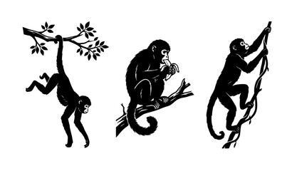 Wild Primate Monkey Silhouette Set Vector Illustration