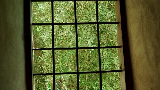 Rustic Window Grid Framing Lush Green Leaves And Olives Outside A Mediterranean Style Wall