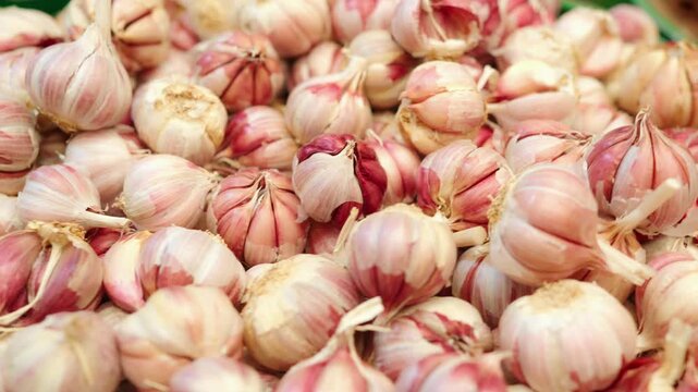 Fresh Pink Garlic Bulbs Pile CloseUp at Market Raw Culinary Ingredient and Organic Spice Harvest