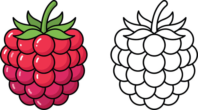 Cute Cartoon Raspberry Vector Illustration with Colored and Black Line Art Outlines for Kids Coloring Book Pages and Graphic Designs
