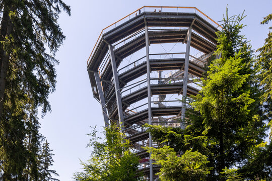 view from the bottom up to the top of the Treetop Walkway (Stezka korunami stromu) in sunny day Lipno nad Vltavou, South Bohemia, Czech Republic