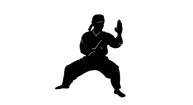 Martial arts fighter silhouette in a defensive stance