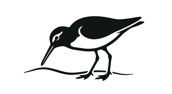 Black and white silhouette of a sandpiper bird.