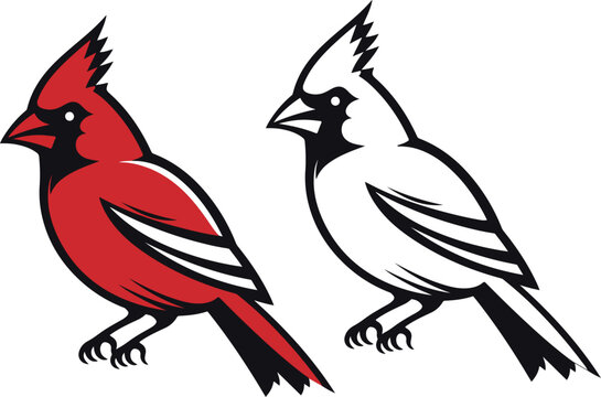 Two cardinal birds, one red and one black and white, side view isolated.