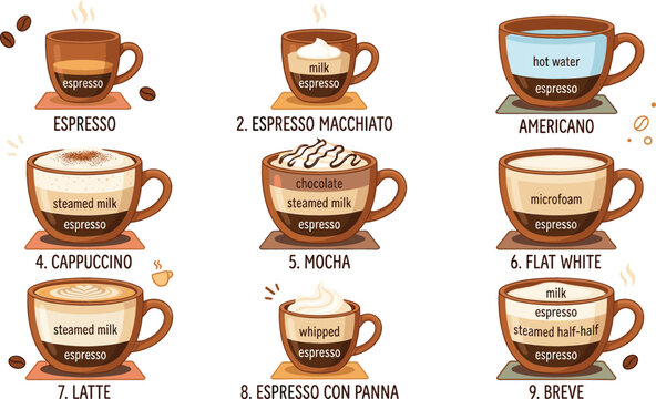 Coffee Types Guide Vector Illustration Set Featuring Infographic Diagrams of Espresso Cappuccino Latte Mocha and Americano Recipes for Cafe Menu Layouts