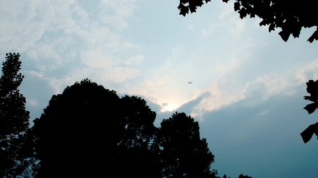 木々の上空を飛ぶ旅客機と雲が広がる空