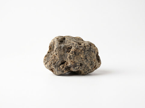 Raw Ambergris Perfume Ingredient Isolated on White