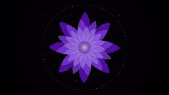 Purple lotus flower mandala pattern on black background an elegant
