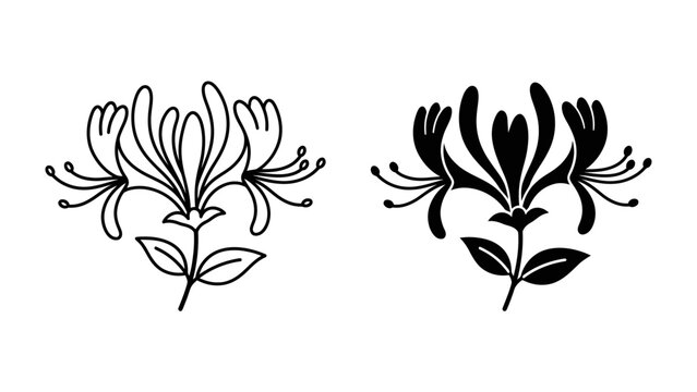 Honeysuckle Motif: Elegant floral design of honeysuckle flowers presented in both outline and silhouette style.