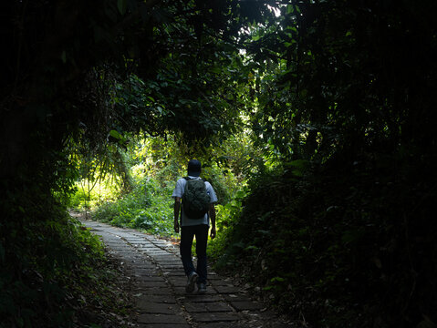 Silhouetted hiker walks down stone path. Green forest surrounds winding trail. Dappled sunlight filters through tall leaves. Person carries backpack, moving forward