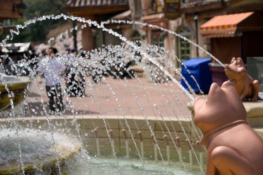테마파크 분수대에서 물을 내뿜는 개구리 조각상 (Frog statue splashing water in a theme park fountain)