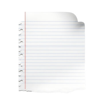 Torn white lined notebook paper sheet with red margin line and curled corner isolated on transparent background transparent background