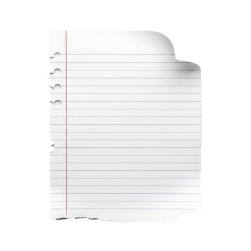 Torn piece of white lined notebook paper with red margin line and curled corner isolated on transparent background transparent background