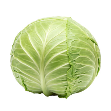 A vibrant, high-resolution close-up of a fresh green cabbage with perfect texture and natural imperfections against a clean white background