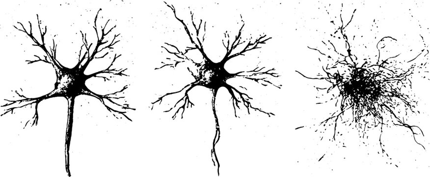 Grunge black and white neuron and cell stencil set with branching dendrites for scientific poster background