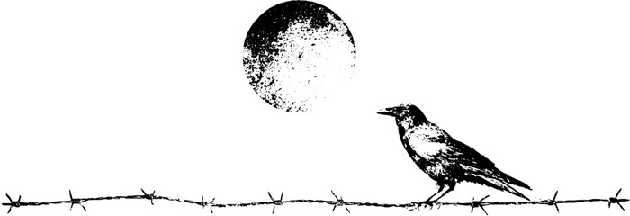 Obraz premium Grunge black and white raven silhouette perched on barbed wire with textured moon for gothic poster background and dark design