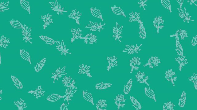 Herbs and botanical branches repeat across a vibrant teal surface to provide a natural aesthetic design.
