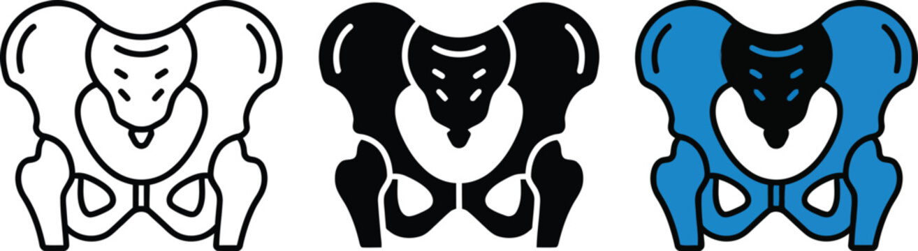 Human pelvic bone icon set, medical anatomy illustration of the pelvis