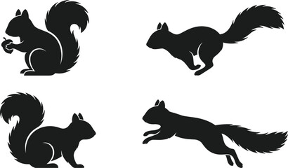Obraz premium Set of Black Squirrel Silhouettes in Sitting, Running, and Jumping Poses with Acorn, Wildlife Animal Vector Illustration Collection