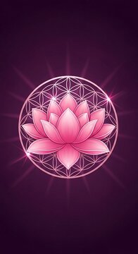 光と蓮の花の神秘