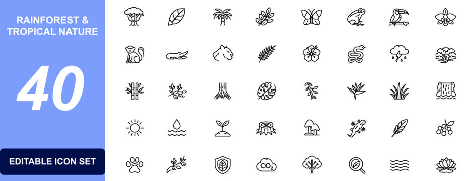 Rainforest tropical nature icon set with forest, jungle, wildlife, plants, animals, ecology, biodiversity, conservation, environment and ecosystem. Vector illustration.
