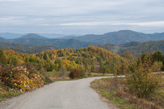 Winding gravel road bordered by colorful autumn foliage with layered mountain hills under a soft cloudy sky.