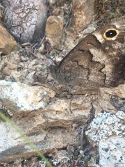 Obraz premium old stone wall