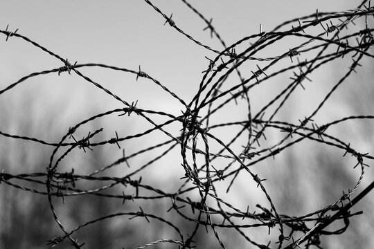 Close-up of tangled barbed wire fence in black and white