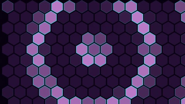 Abstract animated hexagonal arena floor pulsing drawn as violet and blue glowing lines and dots on a deep dark background. Clean minimal motion graphics element with free space around it, ideal for ti
