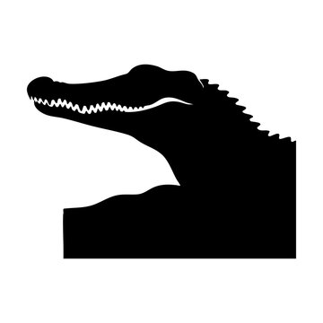Vector silhouette of a crocodile head