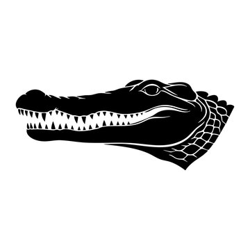 Vector silhouette of a crocodile head